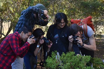 Art Photography Class in San Francisco