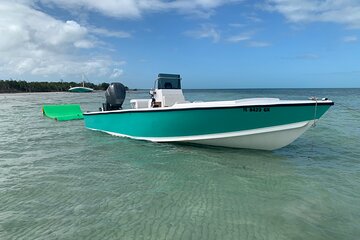 Private Boat Tour to Sand Bar Snorkel Dolphins and Sunset 