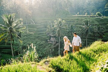 Bali Private Tour - Highlight of Ubud