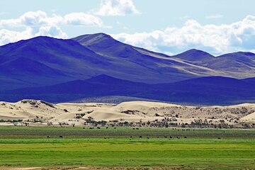 Essence of Mongolia 3 Days