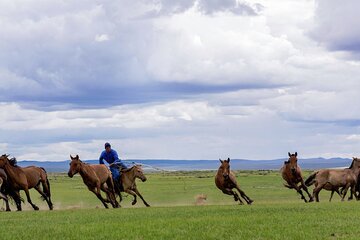 The Essence of Mongolia 5 Days