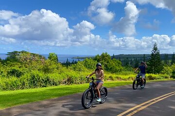 Kaanapali to Kapalua Maui Explorer Electric Bike Rental