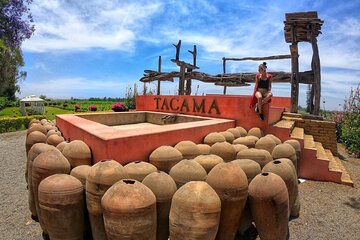 Pisco Wineries and Vineyards Day Tour