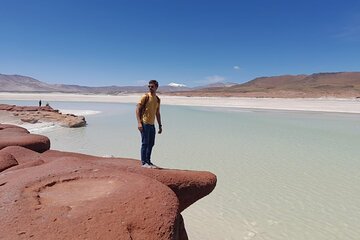 Piedras Rojas Salt Flats and Altiplanic Lagoons