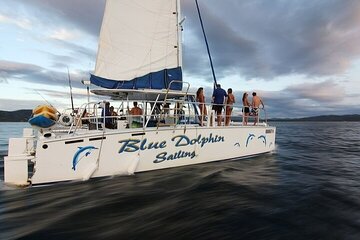 Blue Dolphin - Private Mimosa and Bloody Mary Brunch Tour