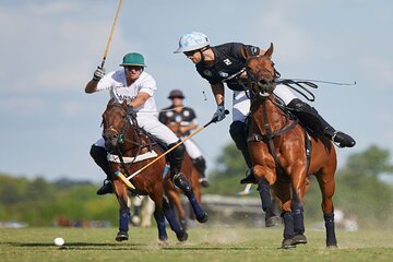 Polo Lesson Experience at Villa Maria with Argentinean Barbecue