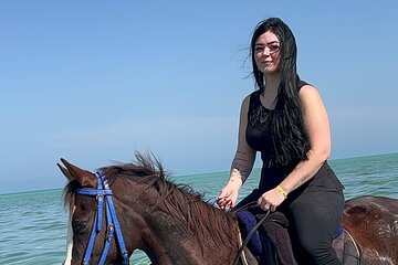 2 hours Horse riding or Camel riding at Hurghada