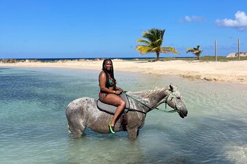 Horseback Ride and Swim Private Tour from Montego Bay 