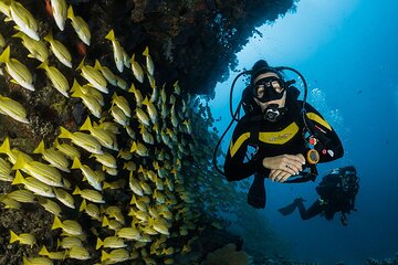 Scuba Diving or Snorkeling with Lunch and Beverages from Hurghada