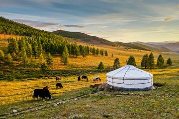 Central Mongolia Highlights Tour