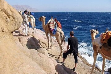 Blue Hole and Canyon By Bus with Camel Ride from Sharm El Sheikh