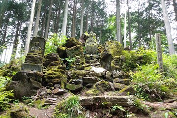 Private Hiking Activity near Tokyo