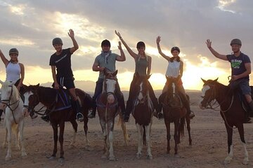 1 Hour Guided Horse Back Riding in Sharm El Sheikh