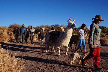 Archaeological Experience in Atacama Tulor and Quitor