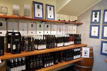 Kumeu Wine Tour