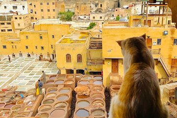Fez Guided Walking Tour