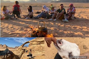 Wadi Rum Full Day Desert and Farm Tour