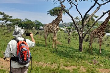 Bisley Valley Nature Reserve Hike with Giraffes and Zebras