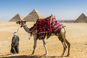 Half Day Tour To Giza Pyramids And Sphinx