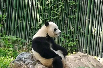 3 Days Private Boutique Tour With Peking Roast Duck 