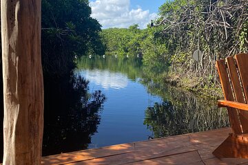 Daily Pass to Cenote Aldea Mangle in Tulum