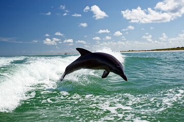 Side Dolphin Island Boat Trip With Lunch And Hotel Transfer