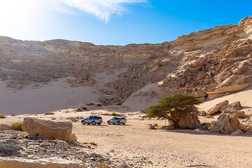 Luxury Desert Safari Tour, Morning & Afternoon from Hurghada