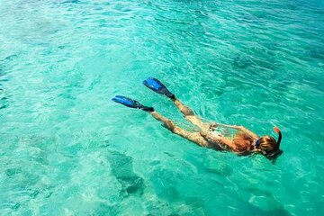 Snorkel Fort Lauderdale Jean Cousteaus Reef and Snorkel Trail