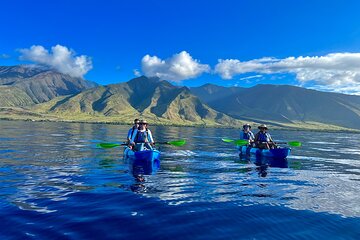 Kayak and Snorkel @ Turtle Town With Optional Photo