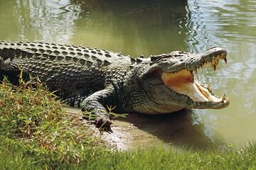 Lunugamwehera National Park by Ajith Safari 