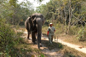 Kulen Elephant Forest & Tonlesap Lake