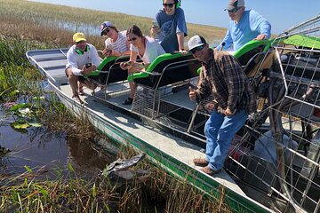 60 min Small Group Everglades Airboat Ride in Miami