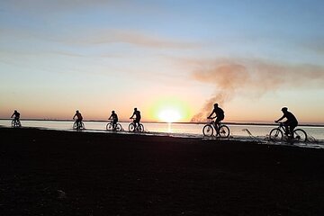 Lake Itaipu Bike Experience: Ride along the banks of the Lake