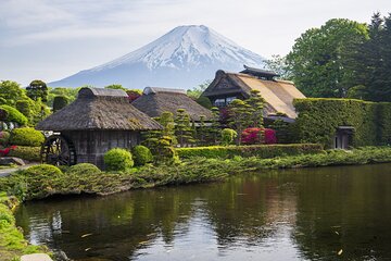 Mount Fuji Five Lakes Tour from Tokyo with Guide & Vehicle