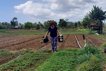 Private tour-Kampot's countryside, Pepper Farm, and Crab Market 