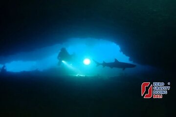 Shark Cave diving at Tangked Taked and Biaha Shark Caves