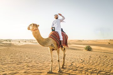 Dubai Morning Desert Safari with Pickup