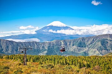 Best Mt Fuji and Hakone Full-Day Bus Tour from Tokyo