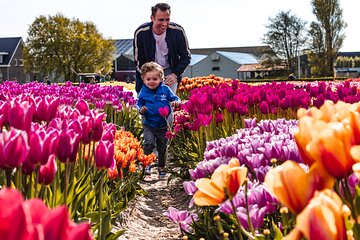 Tulip Experience and Keukenhof flower gardens tour from Amsterdam