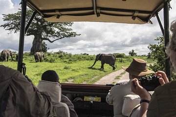 4 Days Masai Mara 4x4 Jeep Lodge Safari