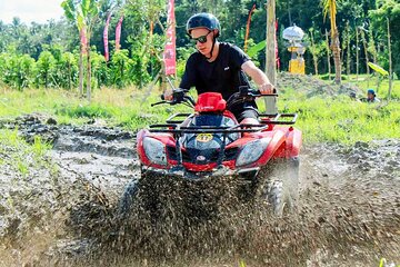 Quad Bike Adventure and Monkey Forest Experience All-Inclusive