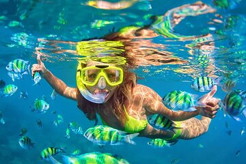 Snorkeling Combo 3 x 1 Lagoon Cenote Reef with Tulum Temples