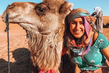  Full Day trip from Marrakech & there valleys with camel ride 