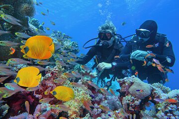 Diving and Visiting Giftun island with Snorkeling Boat Trip