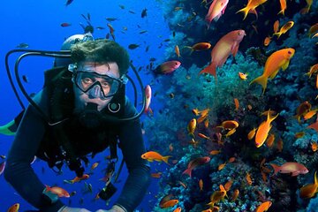 All in One intro Diving & Snorkeling & Massage & Seafood & Water Sport -Hurghada