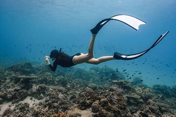 Coron Shipwrecks and Lusong Coral Garden tour (Private / Shared)