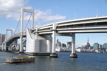 Full-Day Panoramic Bus Tour in Tokyo with Bay Cruise