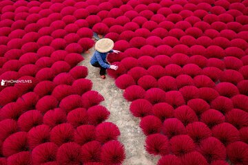 Colors of Incense village Quang Phu Cau