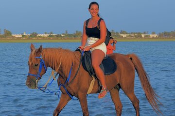 Explore Djerba with our four-legged friends