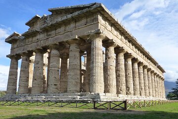 From Sorrento: Tour Paestum, Mozzarella Farm, Wine Tasting 